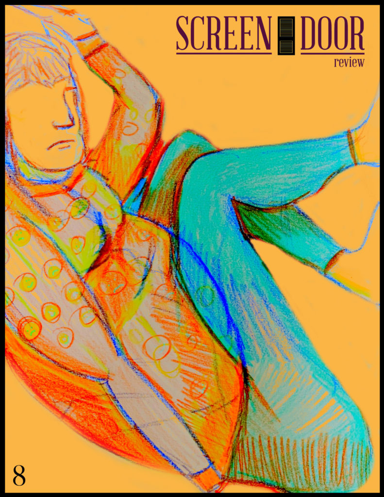 Cover Art Screen Door Review